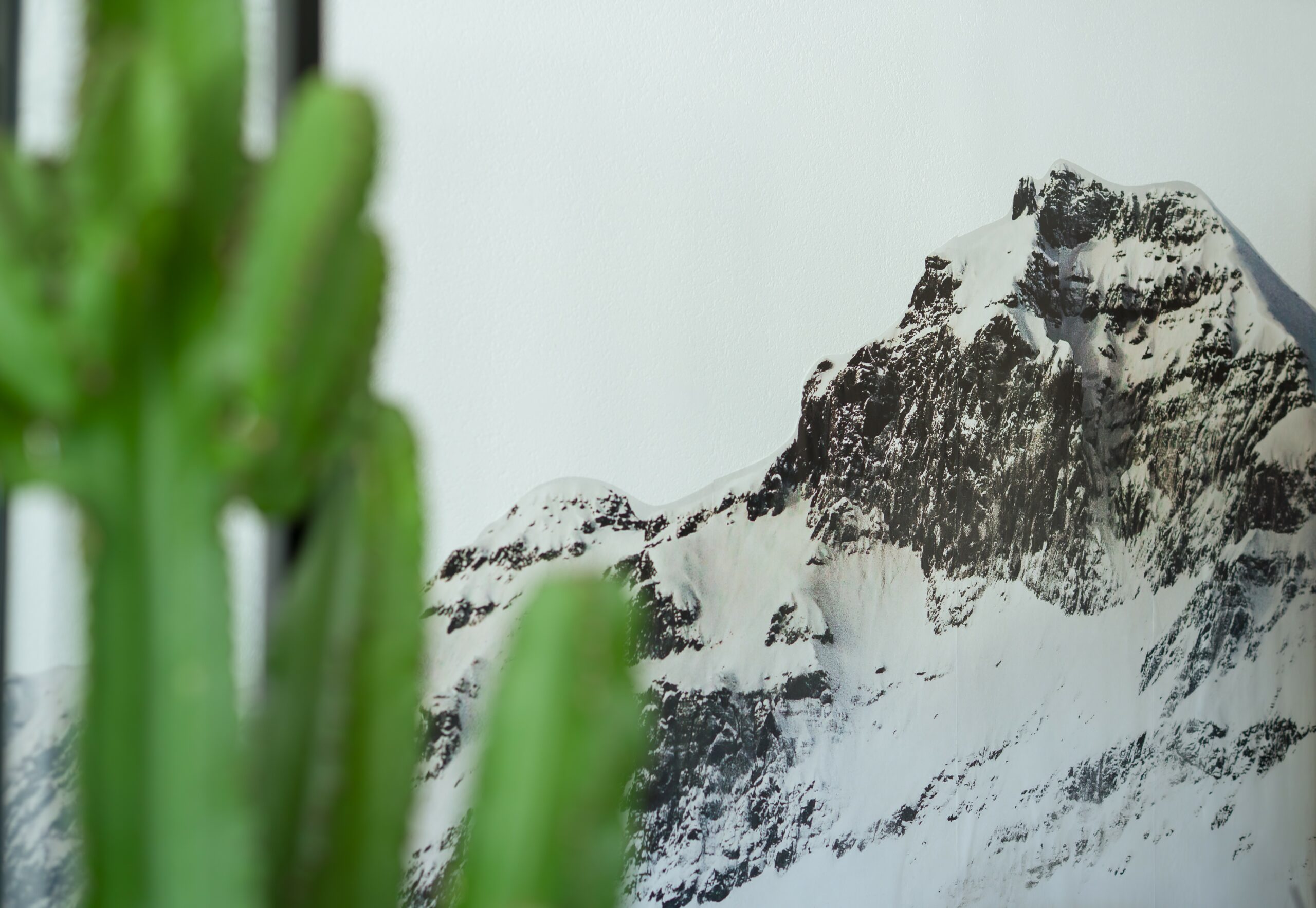 Forces Patrimoine Alpin 